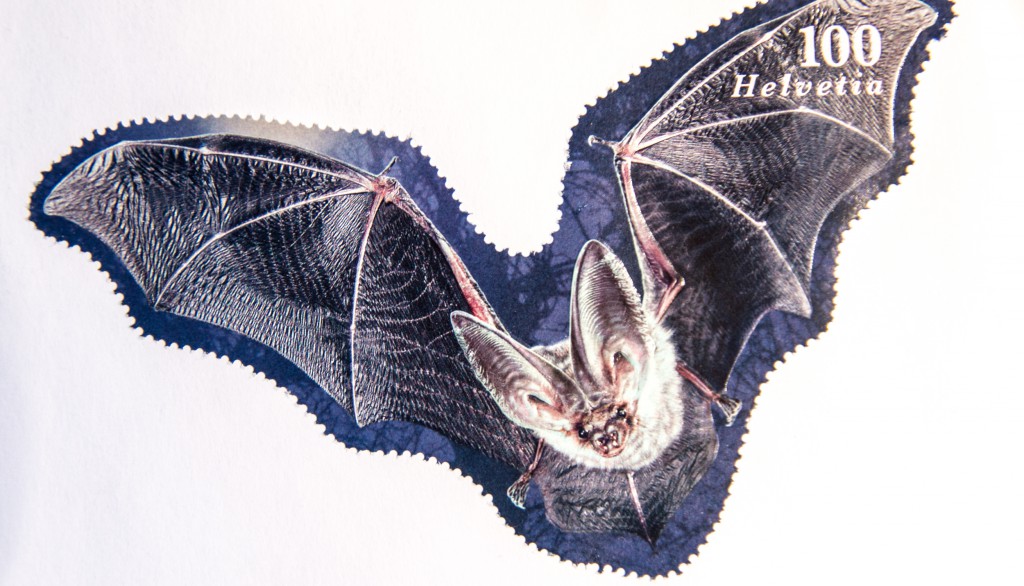 Briefmarke Schweiz Braunes Langohr - Pleculus auritus