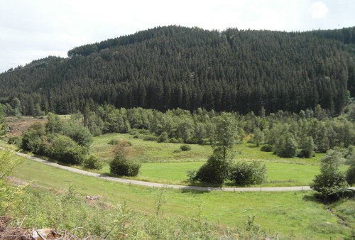 Look from the Raitenbuch street into the moor: Ursee (on the right), the clear-felling on the left (for a larger image click on the picture)