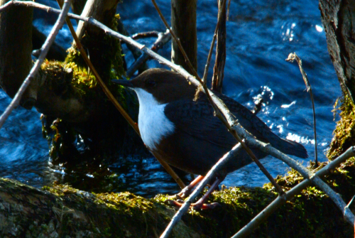 IMGP0166_a