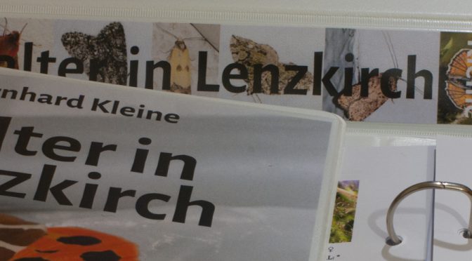 Falterbuch fertig